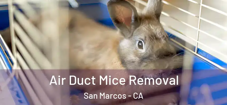 Air Duct Mice Removal San Marcos - CA