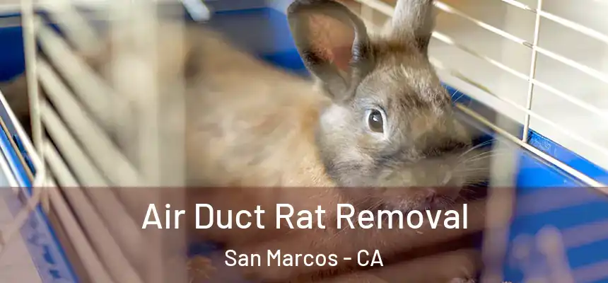 Air Duct Rat Removal San Marcos - CA