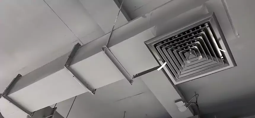 Our Pest Removal From Ducts Services in San Marcos, CA