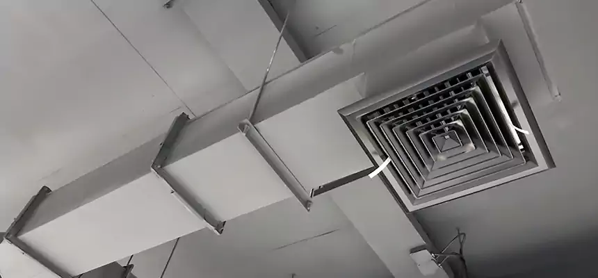 Our Rodent Droppings In Vents Services in San Marcos, CA