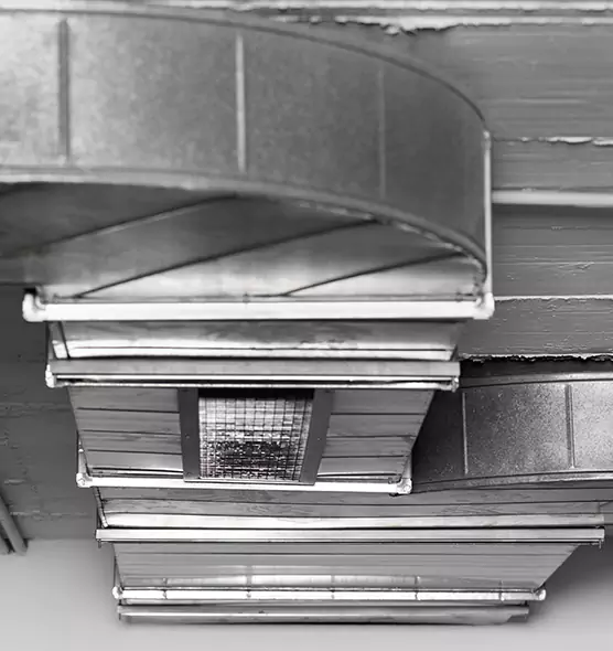 Professional Air Duct Pet Hair Removal in San Marcos, CA