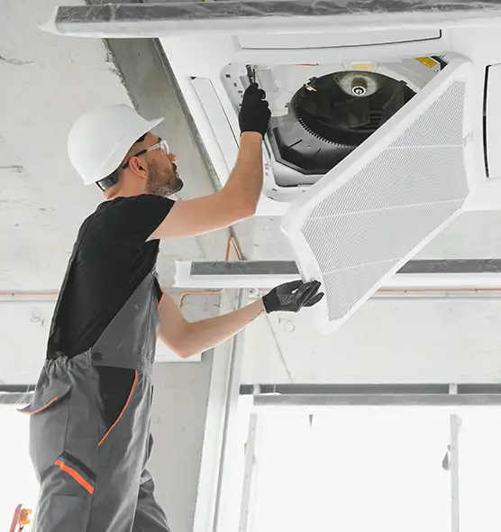 About Air Duct Rodent Removal in San Marcos, CA