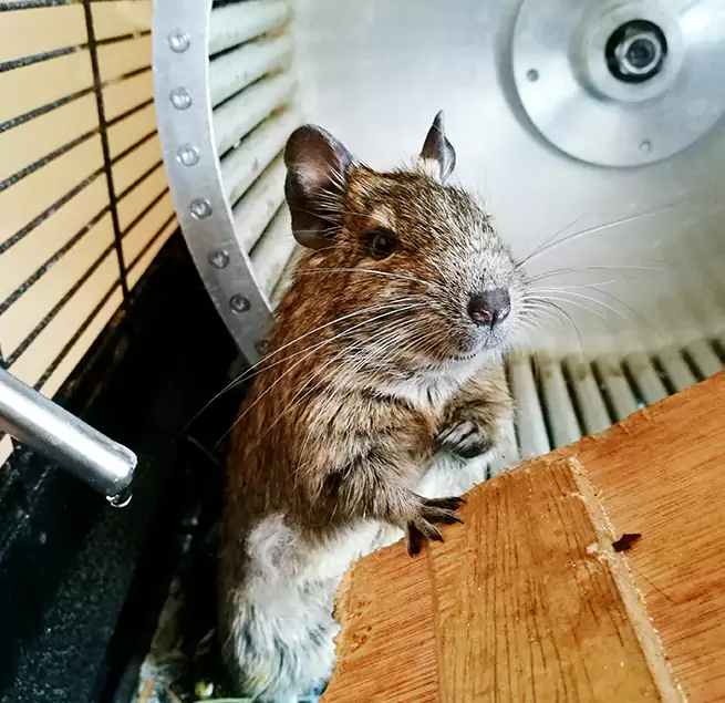 Why Homeowners & Businesses Trust Us San Marcos, CA