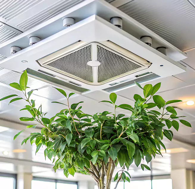 Why Homeowners & Businesses Trust Us in San Marcos, CA?